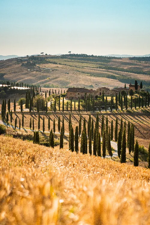 FLORENCE FOUR DAY TUSCAN ADVENTURE EXPLORE CITY HIGHLIGHTS AND COUNTRYSIDE