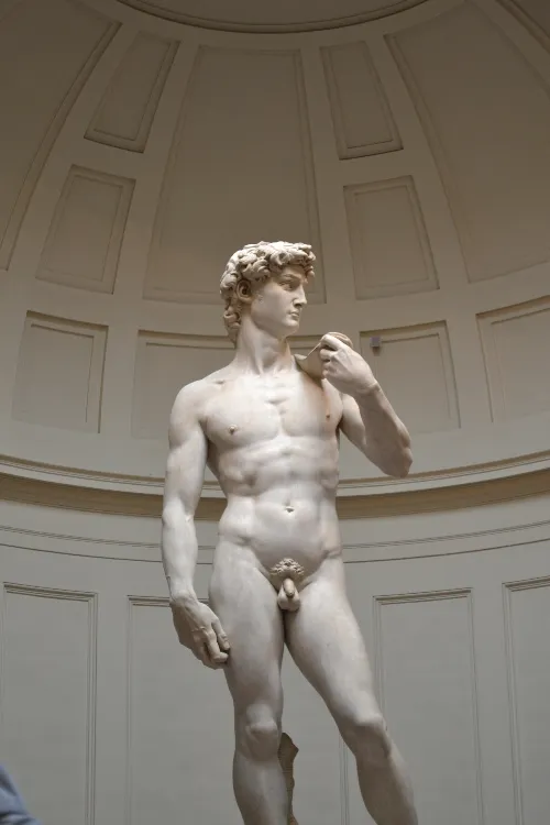 Accademia Gallery Guided Tour in Florence